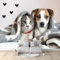 Foto Tapete Wandbild Tiere Katzen Und Hunde 200x140 cm Tapete Vliestapete 3D Effekt Tapete Vlies Wandbild Wohnzimmer Schlafzimme Wanddekoration Fototapete