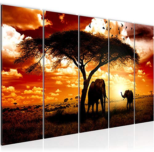 Runa Art Bild Afrika Sonnenuntergang Wandbilder auf Vlies Leinwand 5 Teilig Wanddekoration Wohnzimmer Schlafzimmer 001556a