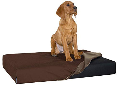 tierlando® Quick-Cover Medic Matratzenschoner für Modell Oscar (XL - 120 x 90 x 11 cm QM-OS5-, 01 Braun)