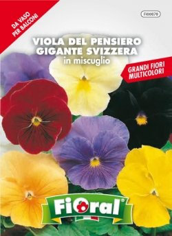Bustine per uso hobbystico di sementi per la produzione di fiori, piante da orto e piante aromatiche (Viola del pensiero gigante di Svizzera)
