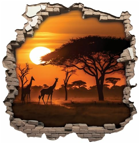 Samunshi® Wanddeko Wandriss mit Steppe in Afrika Fenster in andere Welt Portal Wallart Wandtattoo für Wohnzimmer Küche Wandaufkleber Wandsticker 30 x 30cm