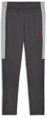 PUMA Herren individualLIGA Trainingshose