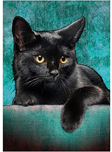 Ideen mit Herz 5D Diamond Painting | Diamant Painting Set | Motiv: 35 x 25 cm | Leinwand: 30 x 40 cm | runde Steinchen | inkl. Zubehör | Verschiedene Bilder zur Auswahl (Katze 03)