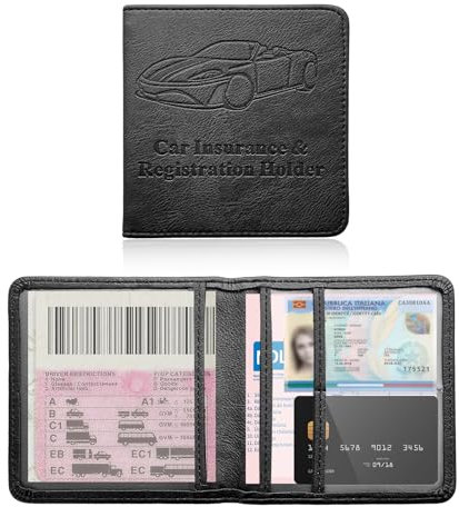 Ziciner Porta libretto e assicurazione auto, organizer per carte e documenti, con chiusura magnetica, accessorio universale per interni del veicolo per auto SUV (nero, piccolo)