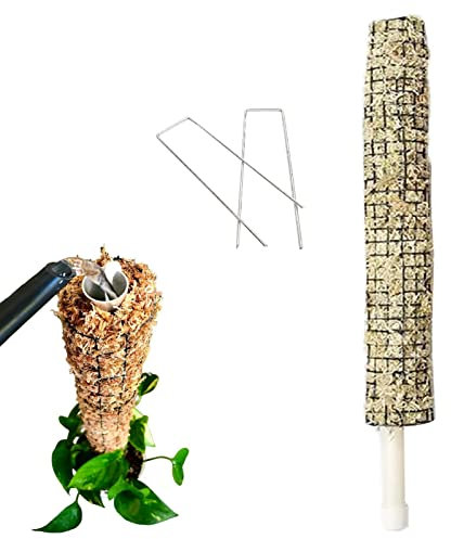 astound Monstera Plant Stakes,Plant Climbing Frame Vine - Real Moss Stick Handmade Potted Plants Support Trellis Perfect For Big Climbing Plants Indoor