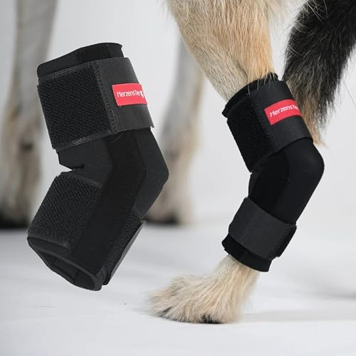 HERZENSTIER Sprunggelenkbandage Neopren Gr. L für Hunde & Katzen mit Schienen zur Stabilisierung des Tarsalgelenks bei Bandinstabilität, Arthrose & nach OP