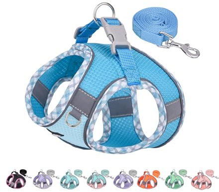 AIITLE Durable Hundegeschirr und Leine Set für Spaziergänge, Schritt in Welpengeschirr, weiche atmungsaktive Haustier Zubehör, reflektierende Bänder, für extra kleine Hunde und Hauskatzen Blau XXXS