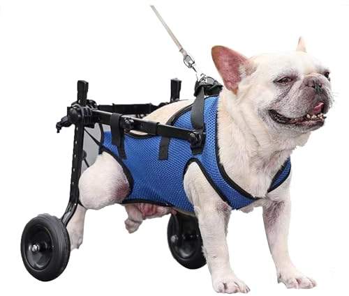 QMZDXH Hunde Wagen Rollstuhl, Hunderollstuhl, Hund Rollstuhl, Einstellbare Gehhilfe, Hundehund Rollstuhl Hinterbein Rehabilitation Für Hunde, Katzen und Kaninchen M