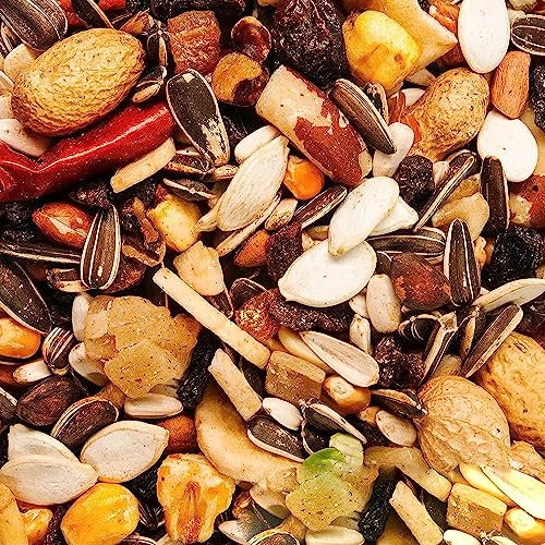 BusyBeaks African Grey Parrot Food | High Energy & Protein NO1 Mix | Nutritious Wild Garden Bird Feed | Additive Free Cleaned to 99.9% Purity | Provides Both Mental and Physical Stimulation (5kg)