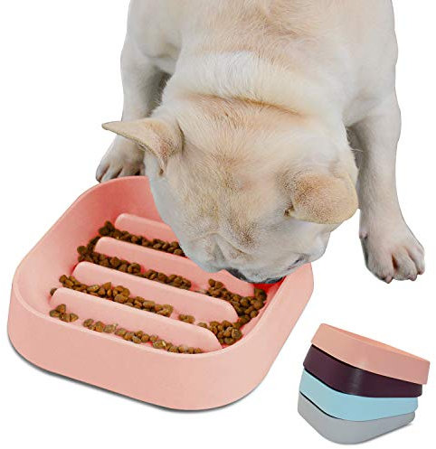Hifrenchies Gamelle pour Chien à Alimentation Lente pour Bouledogue français - Gamelle Amusante pour Chien et Chat - Animaux sans étouffement Bol à Rayures Slow Food
