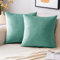 EMEMA Samt Kissenbezug Kissenhülle Dekorative Dekokissen Sofakissen Lendenkissen Wurfkissenbezug mit Verstecktem Reißverschluss Schlafzimmer Sofa 2er Set 45x45 cm Grünlichesblau