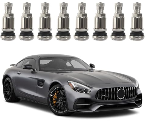 Silber Metallventile, 8 Stück Felgenventil Metall Stahlventile, Felgenventil AutoAutoreifen Ventil 11,3mm Luftventil Auto Stahlventile Felgenventile Reifenventil Auto mit Kunststoffkoffer