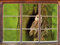 Stil.Zeit Schleiereule in der Baumhöhle Fenster im 3D-Look, Wand- oder Türaufkleber Format: 62x42cm, Wandsticker, Wandtattoo, Wanddekoration