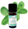 BORN TO BIO Huile Essentielle Menthe Poivrée Bio - 100% Pure et Naturelle - Digestion & Tonus - Propriétés Stimulantes et Décongestionnantes - Certifié EcoCert - 10ml