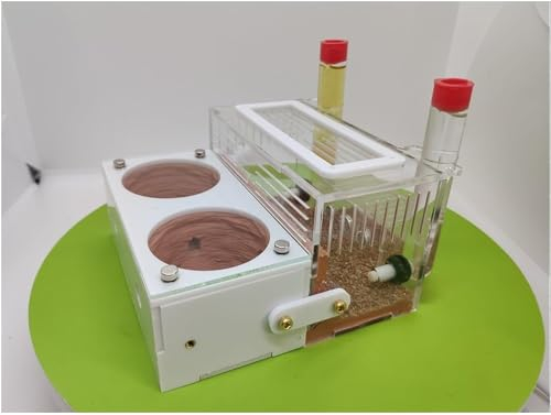 Ameisenzuchtbox, Ameisenfarm, Beton-Ameisenfarm, Nest, Ameisenformikarium, Box mit Futterbereich, Acryl, Ameisenkönigin, Zuchtschloss, ökologisches Ameisenhaus, Villa mit feuchtigkeitsspendendem