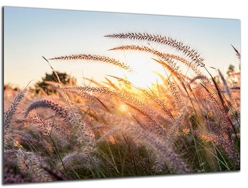 Munera Design - Bild 56x84 - Boho-Stil Natur Wiese - Wand-Bilder Wohnzimmer