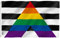 Anley Fly Breeze 3 x 5 Fuß Gay Straight Ally Flagge – Lebendige Farben und lichtecht – Canvas-Kopfzeile und Doppelnähte – LGBT Pride Straight Alliance Flagge aus Polyester mit Messingösen 3 x 5 Fuß