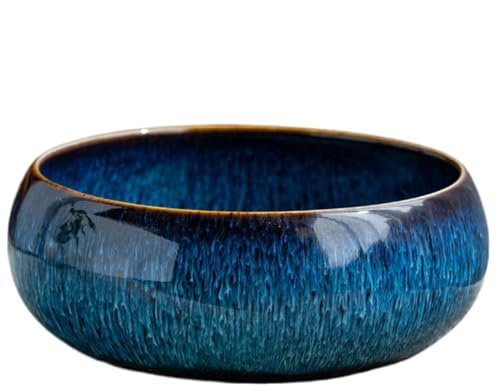 Fbinys Bol à Rond décoratif en céramique, Design émaillé Non poreux, Pot hydroponique d'intérieur, Grand Calibre pour la Maison, Le Bureau, 16,5 x 16,5 x 6,5 cm
