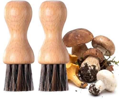 TIESOME 2 Stück Gemüsebürste, Pilzbürste Champignonbürste Kartoffelbürste | Aus Buchenholz & Rosshaar Für Geschirr, Töpfe & Pfannen, Pilzbürste, Champignonbürste, Kartoffelbürste, Holzspülbürste