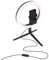 Intempo EE5977BLKSTKEU7 Sync Desktop Selfie Light Ring Stand with Phone Holder, 26 cm, 3 Light Modes, USB Powered, Create The Perfect Atmosphere for Social Media Images & Portraits
