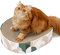 Conlun Cat Scratching Board,2 in 1 Oval Cat Scratcher Cardboard Bowl Nest,Kitty Scratch Pad Corrugated Lounge Bed for Indoor Kitten Grinding Claw,Furniture for Couch & Carpets & Sofas, Large