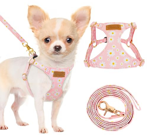 Eyein Small Dog Harness & Lead Sets, Lightweight Adjustable Soft Daisy Pattern for Extra Small Dog Harness, No Pull Escape Proof Breathable Easy Fit Puppy Harness for Small Medium Dogs Cats(XXS)