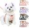 Eyein Small Dog Harness & Lead Sets, Lightweight Adjustable Soft Daisy Pattern for Extra Small Dog Harness, No Pull Escape Proof Breathable Easy Fit Puppy Harness for Small Medium Dogs Cats(XXS)