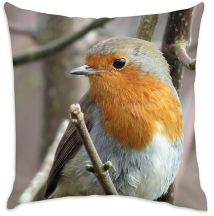 Fabulous Kissen aus weißem Samt – große Aufnahme von Rotkehlchen auf einem Zweig – 40 x 40 cm – samtiges Gefühl – Bezug und Kissen inklusive