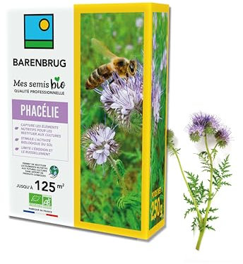 BARENBRUG - Phacélie BIO - Capture les Éléments Nutritifs et Restitue aux Futures Cultures - Stimule Activité Biologique du Sol - Limite Érosion et Ruissellement - Fabriqué en France - 250G