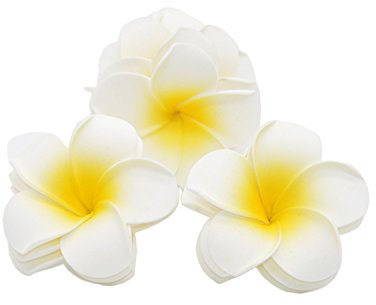 medigy 100 6,1 cm Plumeria Hawaiian Schaumstoff Frangipani Blumen Künstliche Blumen für Hochzeit Party Dekoration?, weiß, 6cm