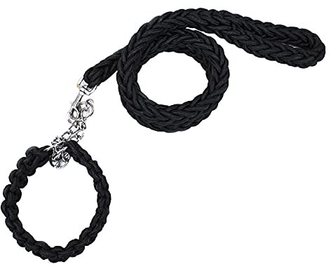 Hundehalsband und Leine, Set aus robustem geflochtenem Nylon, 122 cm, Hunde-Trainingshalsband für kleine, mittelgroße und große Hunde