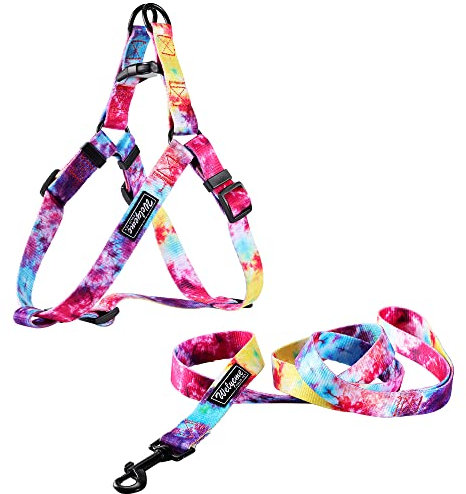 Welyeme Tie Dye Hundegeschirr und Leine, Set für kleine, mittelgroße und große Hunde, Regenbogen-Hundegeschirr