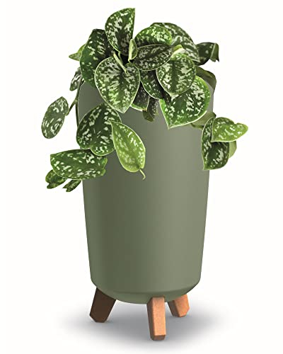 botle Vaso da fiori con piedini, tubo alto, diametro 24 cm, in plastica opaca, verde, vaso per soldi, cactus, albero di gomma, piuma portafortuna