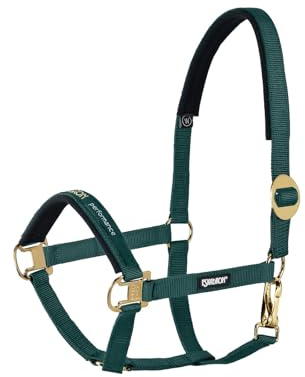 Halfter SLIDING BUCKLE CORE