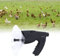 Dispositivo de Escucha de sustvita para observación de Aves, Amplificador de Sonido de oído biónico Profesional con micrófono parabólico, observación de Naturaleza de Larga