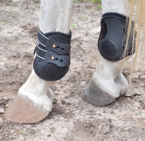Jeffers Uniquely English Fetlock Boots for Horses, Pair, Breathable Neoprene Ankle Support, Adjustable Straps, Durable Horse Boots for Riding, Jumping, Training, Travel, Easy Storage - Medium Black
