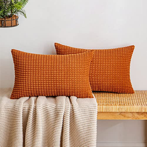 EMEMA Kordsamt Kissenbezug Herbst Granulat Dekorative Sofakissen Dekokissen Kissenbezüge Couchkissen Kissenhülle Weich Kissen Bezug Zierkissen für Sofa Couch Wohnzimmer 2er Set 30x50 cm Karamell