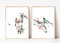 Kunstdruck Din A4 ohne Rahmen- 2-teilig - Vogel auf Zweig, Strauch, Blüten, Asiatische Kunst Asien Tusche - Druck Poster Bild