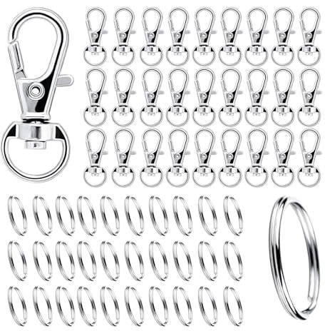 DAGORD 200 Stück Karabiner Schlüsselanhänger Ringe Schlüsselringe mit Karabiner Klein Schlüsselkarabiner Kleine Karabinerhaken mit Drehgelenk für Taschen Schlüsselbänder Basteln - Silber