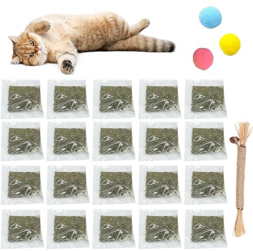 20 Pièces Chat Séchée Chats,Herbe À Chat Naturelle,Menthe pour Chat,Kit Cataire,Cataire pour Chats,Menthe A Chat,Herbe À Chat Catnip,Herbe À Chat Seche,Herbe A Chat Séchée,Jouet Balles pour Chat