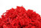 YOTEI SPIRIT® 10kg Paglia Rossa per Confezioni - Paglia per Cesti, Regalo, Scatole e Confezioni - Trucioli per Imballaggio (Rosso, 10kg)