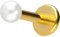 PIERCINGLINE Titan Labret mit Push Fit SYNTHETISCHE PERLE Piercing Ohr Helix Conch Tragus Goldfarben 1,2x7x2,5 mm