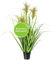 CREATIV green künstliches Chinaschilf 90cm I Gräser künstlich mit schickem Kunststoff-Topf I stilvolle künstliche Pflanzen wie echt mit naturgetreuen Blättern I Schilfgras künstlich ideal als Deko