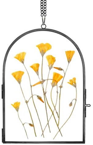 REDHUGO Glasgepresster Blumenrahmen, handgefertigt, Glasrahmen für gepresste Blumen, Wandbehang, schwimmender Rahmen, einzigartiger Doppelglas-Bilderrahmen für getrocknete Blumen, Poster, Zuhause,