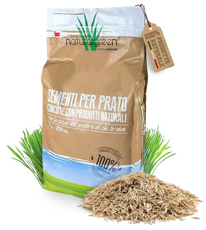 B4Green Semi Prato Crescita Rapida (250m²) per Trasemina e Risemina | Loietto Perenne per Riparazione e Rigenerazione Prato Diradato, Semi Erba per Semina e Rinfoltimento Tappeto Erboso 7kg