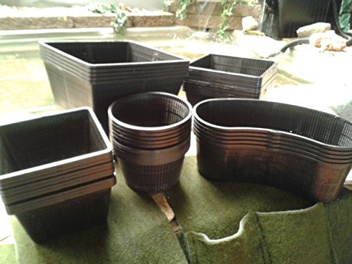 40 Pflanzkörbe 5 Verschiedene Größe von 23-35 cm Teichpflanzen Pflanzkorb Teich Großes Sortiment Sparangebot