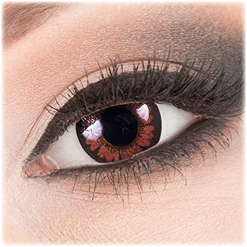 Meralens braune Circle Lenses Pretty Hazel mit Behälter ohne Stärke 14mm Big Eyes farbige Kontaktlinsen