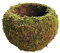 WIVAYE Pot de fleurs en forme de boule de mousse, 20 cm, tissage naturel, pot de fleurs en forme de nid d'oiseau Kokedama pour la maison, la table, la décoration du bureau