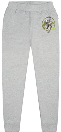 ONOMATO! Jurassic World Beta Jungen Jogginghose Kinder Trainingshose Grau, Bequeme Sporthose für Jungs, Dinosaurier Kinderhose aus 100% Baumwolle, Größe 116
