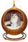 QLXYYFC Hanging Basket Cat Swing Bed,Wicker Cat Bed Indoors & Outdoors, with Removable Cushion & Hanging Ball, for Sleeping, Playing, Climbing, and Lounging (Color : Brown, Size : 43cm X 66cm)